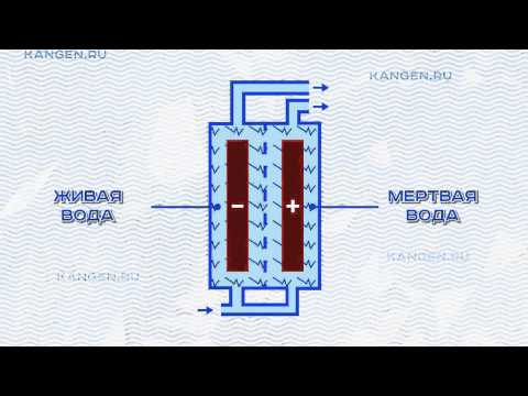 Как сделать чтобы картинки двигались в вк