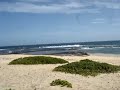 Ni'ihau Beach Front