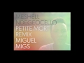 Click here to watch this video Meshell Ndegeocello - Petite Mort (Miguel Migs Moody Downtown Remix)