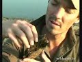 Pieter, Humgo, the dead catfish, ...and dung