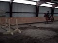 Buddy Jumping Buddy Jumping