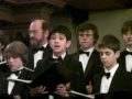 Jaivin Raj and Eltham College Choir sing Hear My Prayer