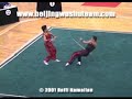 sparring wushu