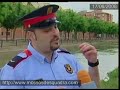Un mosso d'esquadra es llança al canal de Seròs i salva un lladre Redacció Lleida | 17/06/2008 Un jove de nacionalitat marroquina, Ilias B., de 23 anys i veí de Lleida, va tindre la sort que un mosso d'esquadra pogués salvar-li la vida després de tirar-se al canal de Seròs quan mirava de fugir de la policia després d'haver robat a l'interior de quatre vehicles diumenge passat a la nit. Els fets van tindre lloc cap a les cinc de la matinada, quan una dotació va detectar un home a l'aparcament de l'Hotel Condes de Urgel que, al veure policia, es va amagar. Els agents van comprovar que quatre turismes tenien els vidres trencats i l'interior regirat. Es va requerir l'individu detectat, però va fugir. L'home es va llançar al canal per amagar-se sota un pont, però el fort corrent el va arrossegar. Els Mossos li llançaven una corda, però la rebutjava, fins que ja era inútil. Veient que s'ofegava, un dels mossos es va lligar la corda, es va llançar a l'aigua i el va rescatar. Els Mossos van recuperar un GPS, un portàtil, una càmera de fotos, roba i petits electrodomèstics. Ilias ja havia estat detingut dimecres passat per assaltar un cotxe. Se li imputaran 4 robatoris amb força