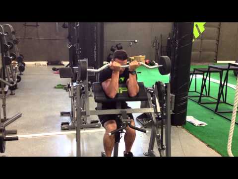 EZ Bar Preacher Curl