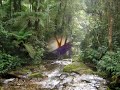 PLANETA �GUA - RIBEIR�ES E CACHOEIRAS DE PIQUETE/SP