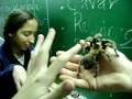 Aranha- Aula do Amilton