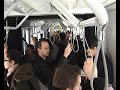 �resj�ratot hazudik a BKV - T�K�R