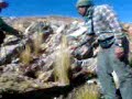 Gent UAP-EPIA n Carhuamayo Gent UAP-EPIA n Carhuamayo