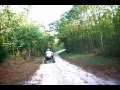Quad in French Forest (complete)