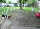 My guys playing