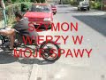 Road Warrior Reverse Trike Demo Road Warrior Reverse Trike Demo