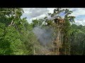 Carbon Based Lifeforms - Photosynthesis (What About The Forests?) [HD]