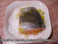 Salmon marinado
