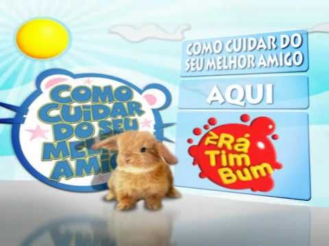 Como cuidar do seu melhor amigo