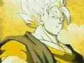 DBZ in the Hall of the Moutain King Techno Remix