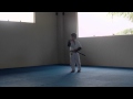 Hiten Mitsurugi ryu