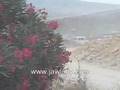 عاصفة شمالي الجولان