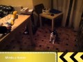 Edición de vídeo con el Samsung Galaxy Note