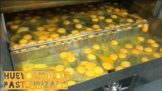 Huevo líquido pasteurizado