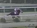 1998年西日本地区招待第８回アラブ大賞典(佐賀競馬)