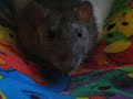 Thelma Addresses YouTube