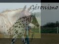 les rejetons de Quérida
