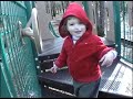 at the park