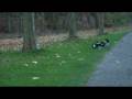videos de FG Monster Competition 4WD Brushless