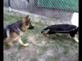Zeuss&Ajan