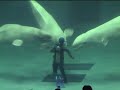 AQUAS Beluga Whale Bubble Ring