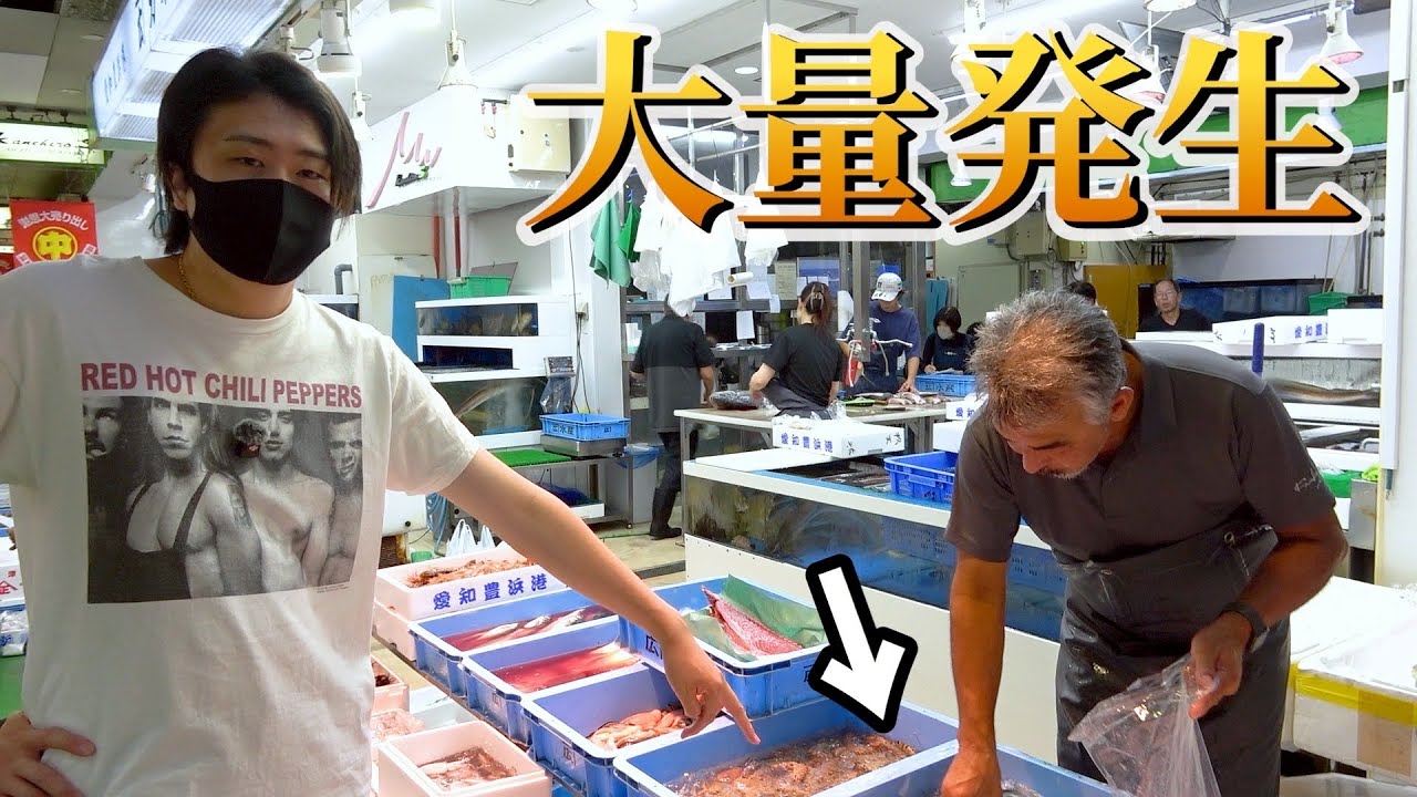 動画3
