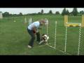 videos de Excellence In Weave Pole Training