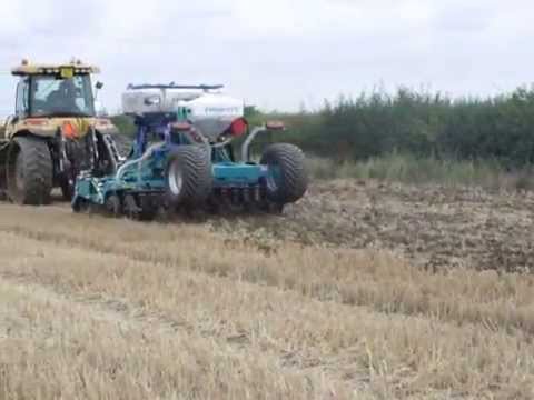 OSR Establishment