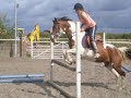 Ashton Hall Equestrian Centre!x The Poniies!x Ashton Hall Equestrian Centre!x The Poniies!x