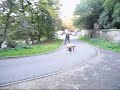 No Snow (Freebord)