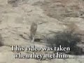 نكران الجميل و الوفاء الحب التسامح رد الجميل حيوان اسد لبوه حب قدوه القدوه