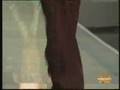 Alberta Ferretti - W - S/S 08