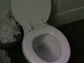 Aquarium Toilet Tank Flush Aquarium Toilet Tank Flush