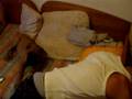 videos de lobito vs neron