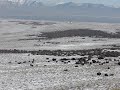 Antelpoe Island, Salt Lake City, Utah