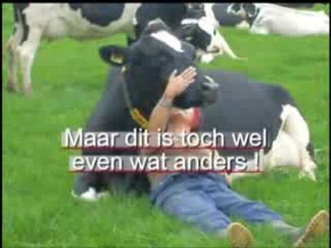 YouTube voorvertoningsafbeelding