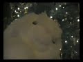 Xmas message from the white bunny Xmas message from the white bunny