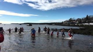 Penguin Plunge 2016