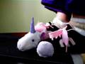 Etnies Massaging Pony Footrest