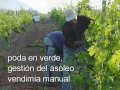 EDRA, la bodega del Pre-Pirineo aragonés