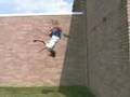 PUMA- I'm Going Ninja... John Vanek
