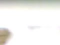بئر العاتر