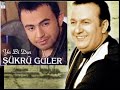 kr-gler-smail-trt-arks-kimizin.html