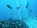 Abysses - Fanfare st. Joseph Pey [part 1/3]